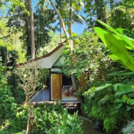 Sacred River & Jungle Villa